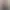 resize